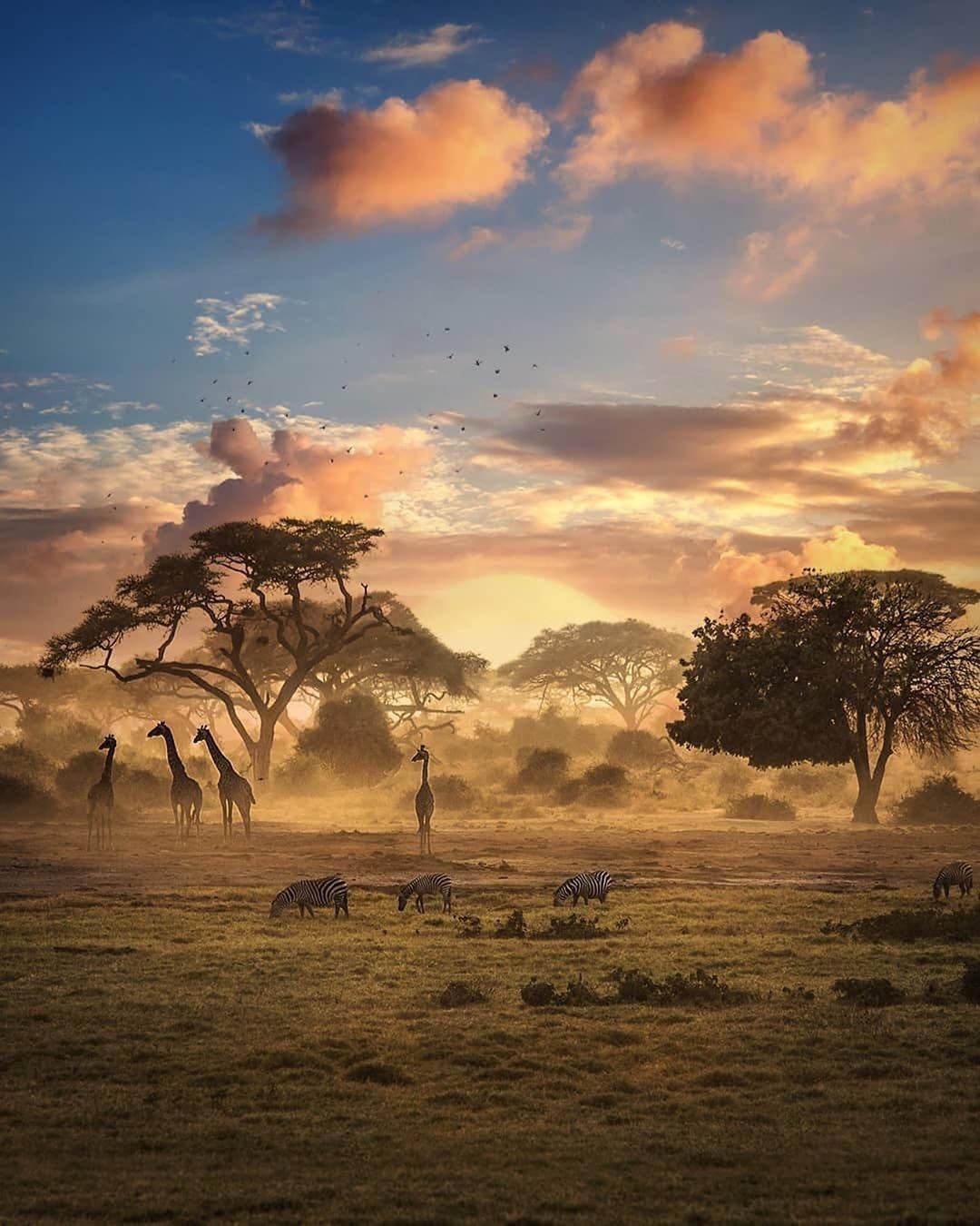 country aesthetic wallpaper 0056