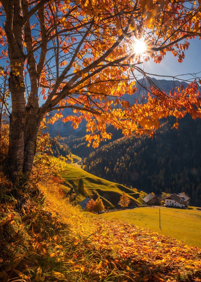 country aesthetic wallpaper 0061