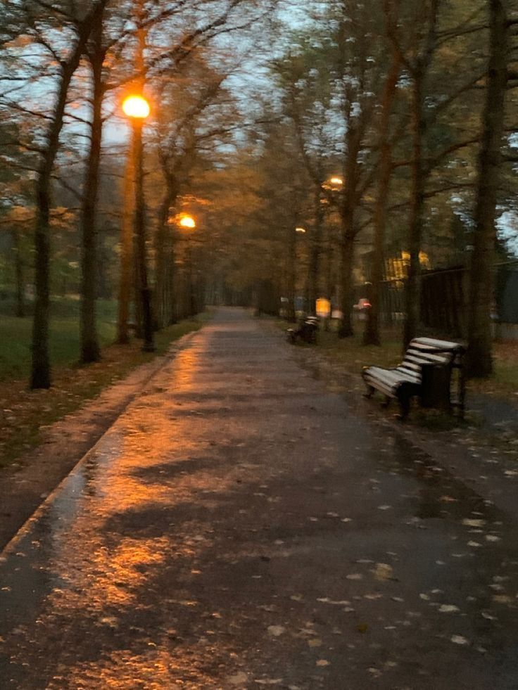 cozy winter aesthetic 0096