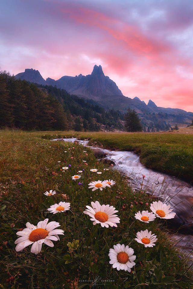 cute aesthetic pictures 0048