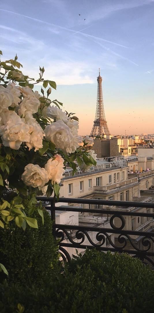 cute aesthetic pictures 0059