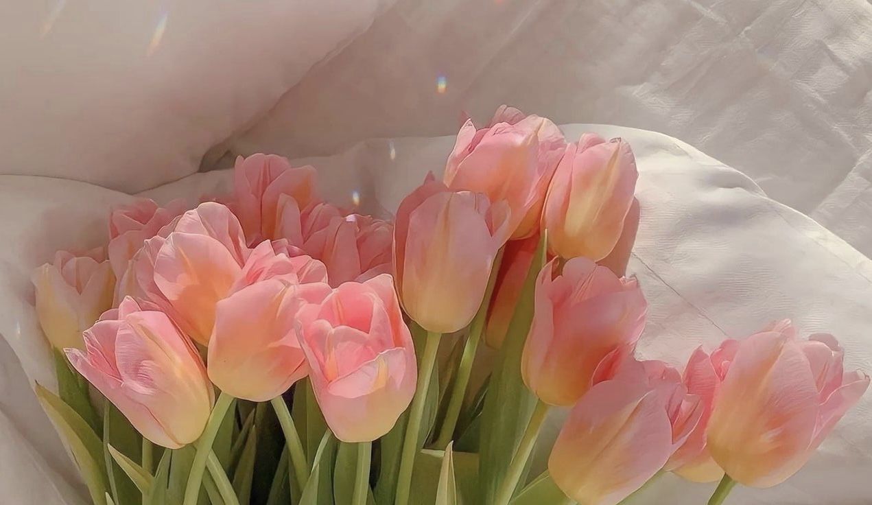 cute aesthetic wallpapers 0027