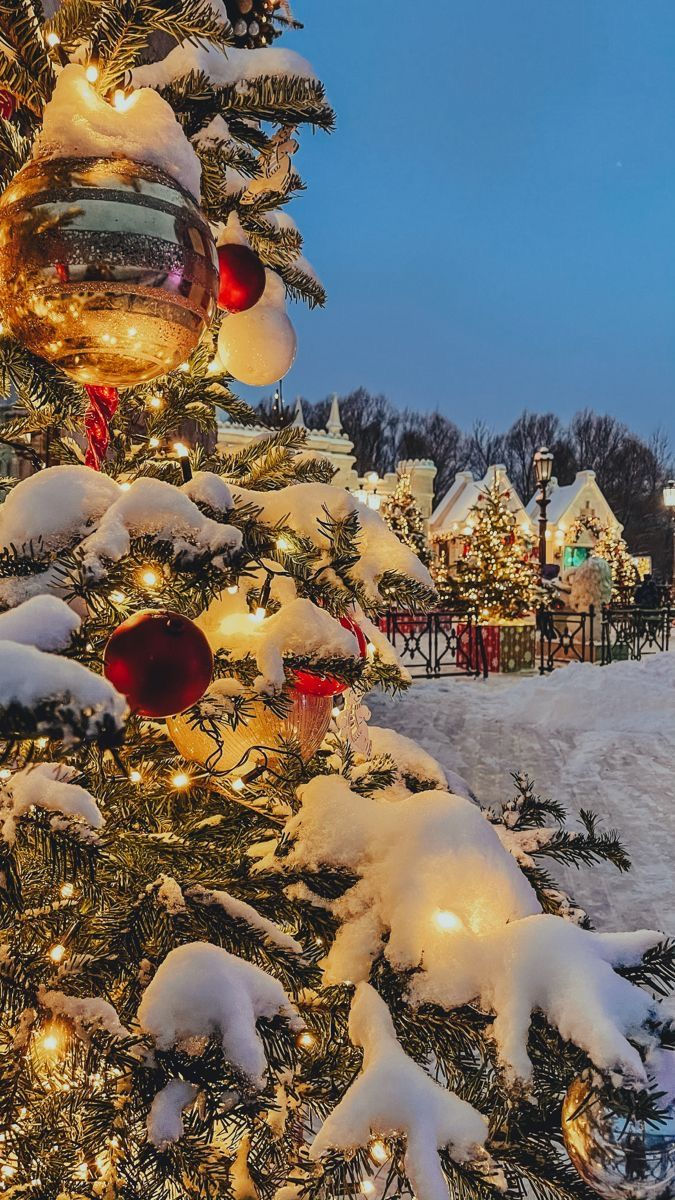 cute christmas pictures to share