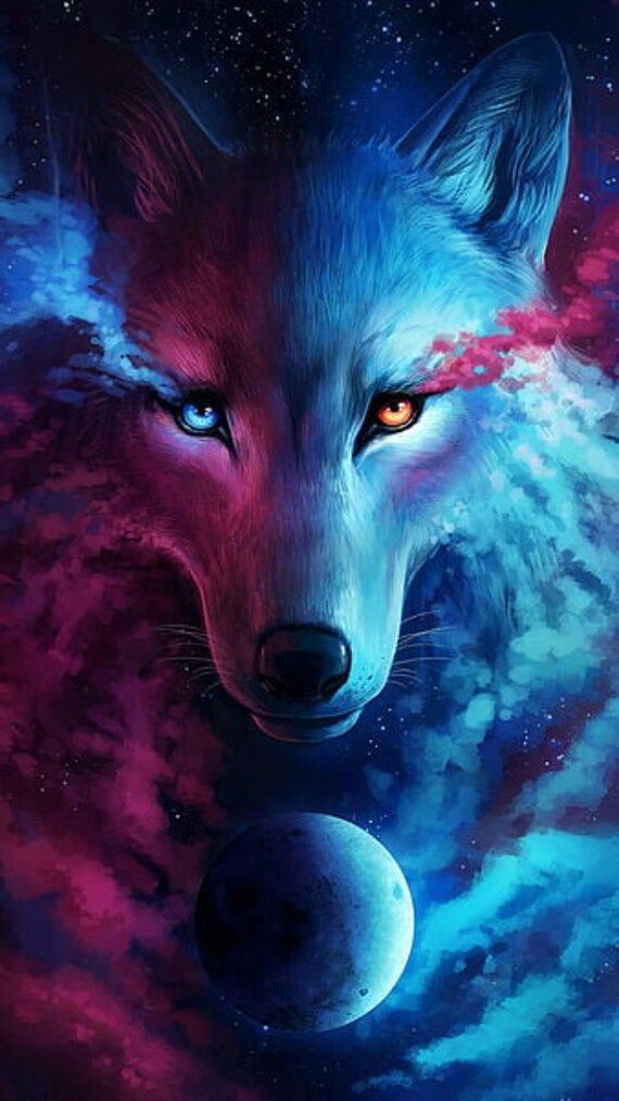 cute galaxy wolf fantasy art