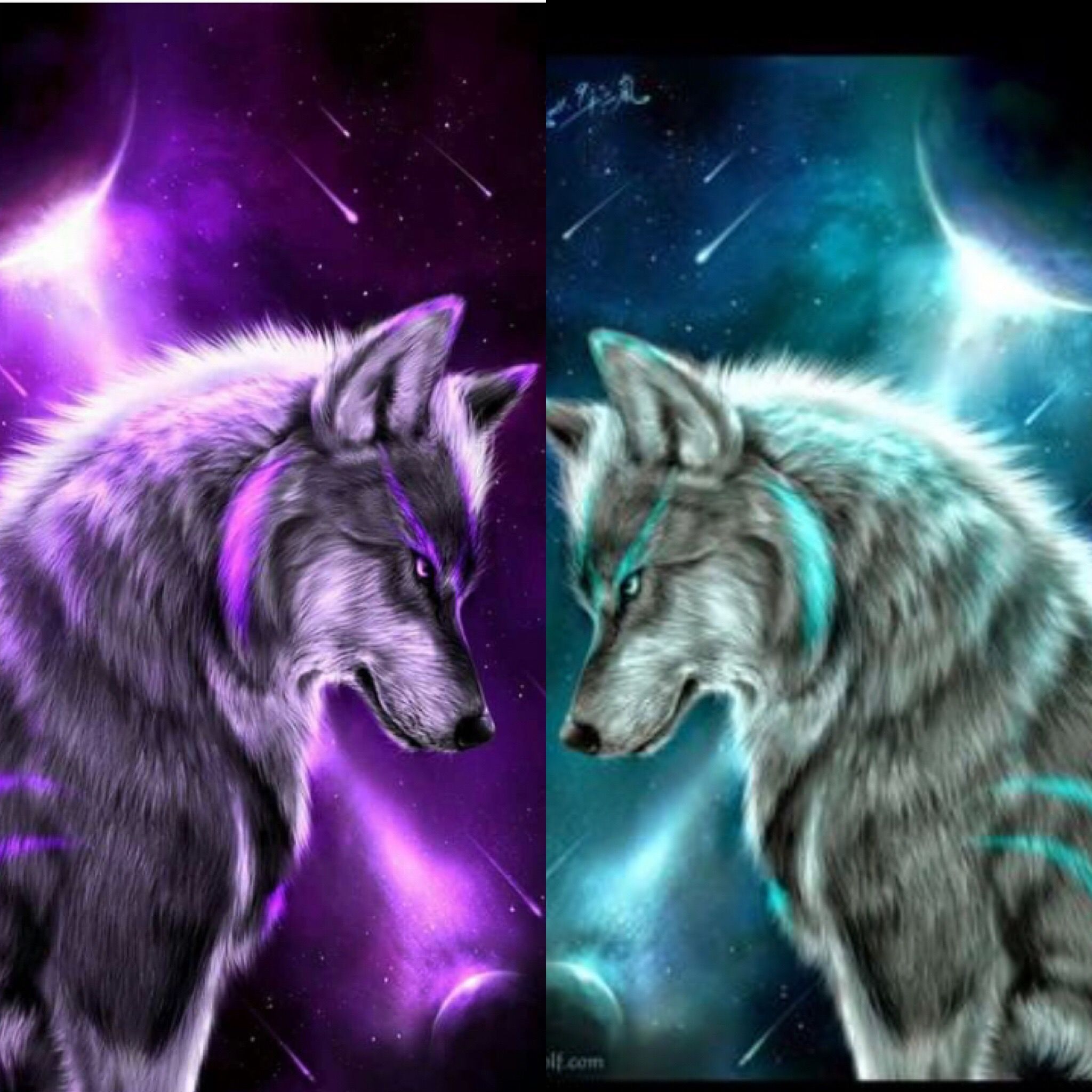cute galaxy wolf 0089
