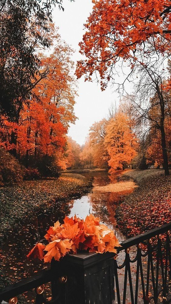 cute hello october images 0050