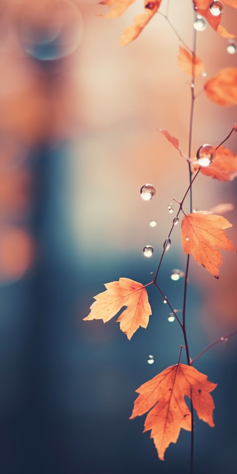 cute hello october images 0086