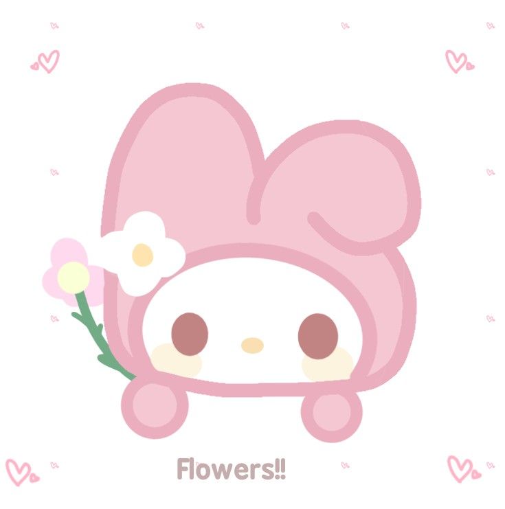 cute my melody 0067