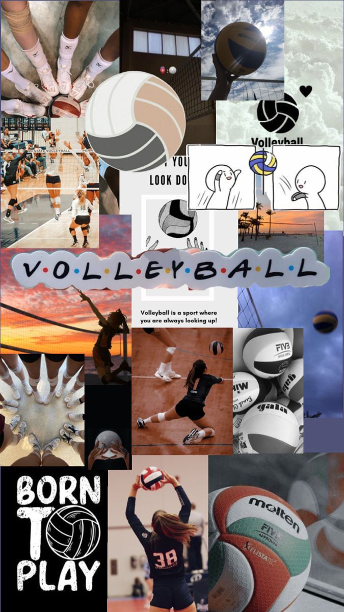 cute volleyball wallpaper
