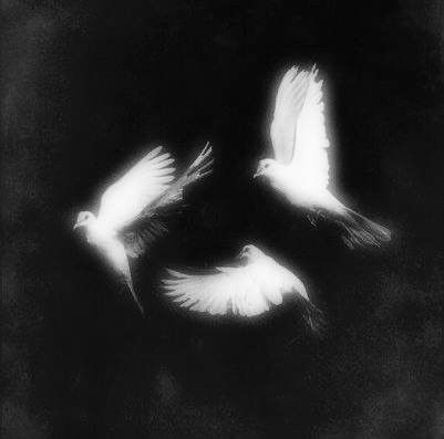 dark aesthetic phone wallpapers 0054