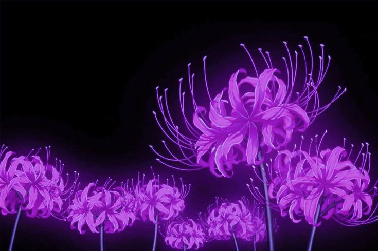 dark purple aesthetic wallpaper 0071