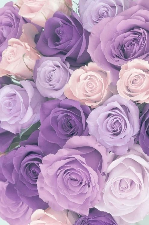 dreamy purple aesthetic pictures for relaxation
