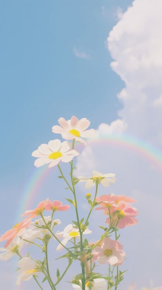 easter wallpaper aesthetic 0059