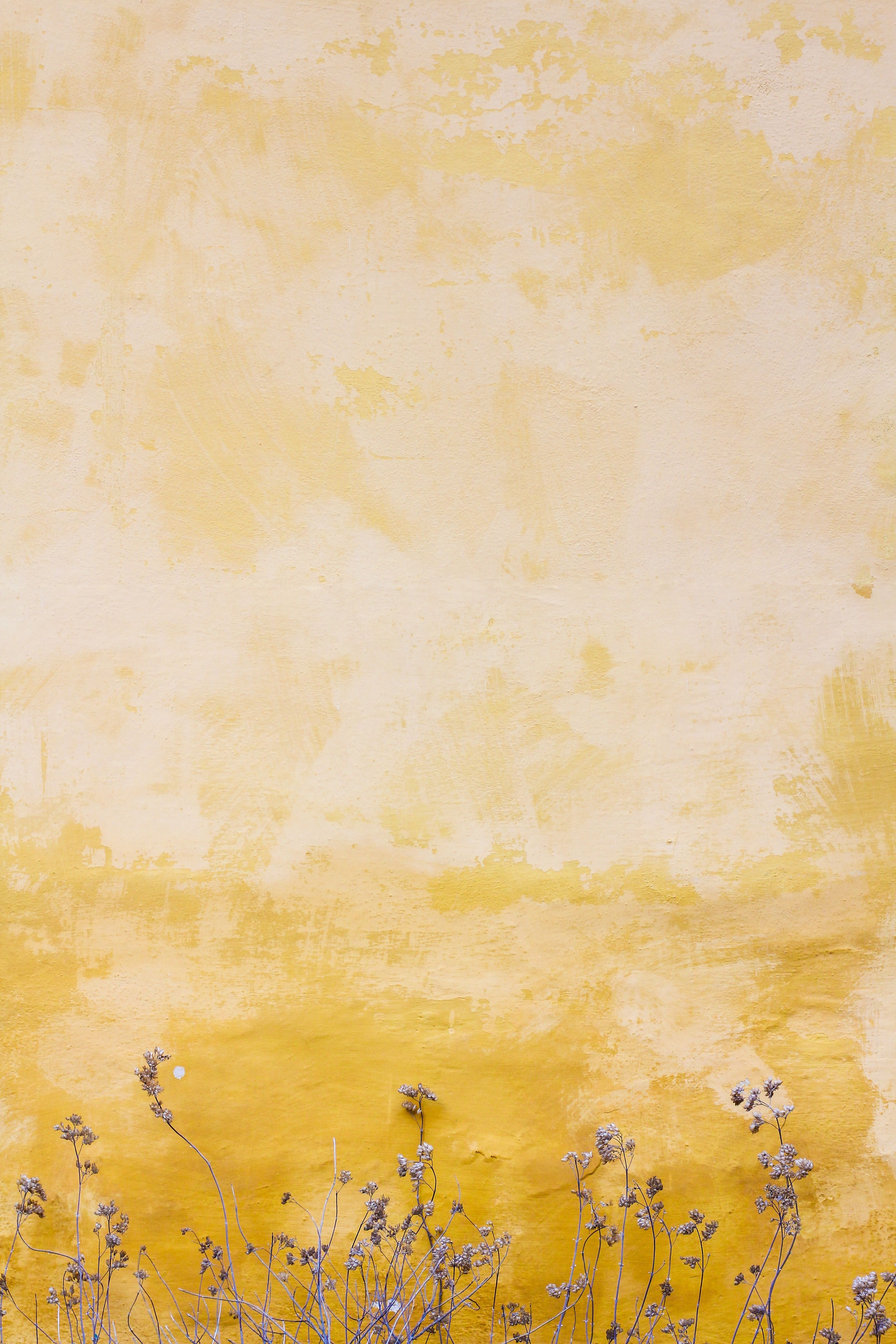 elegant aesthetic vintage minimalist wallpaper aesthetics.