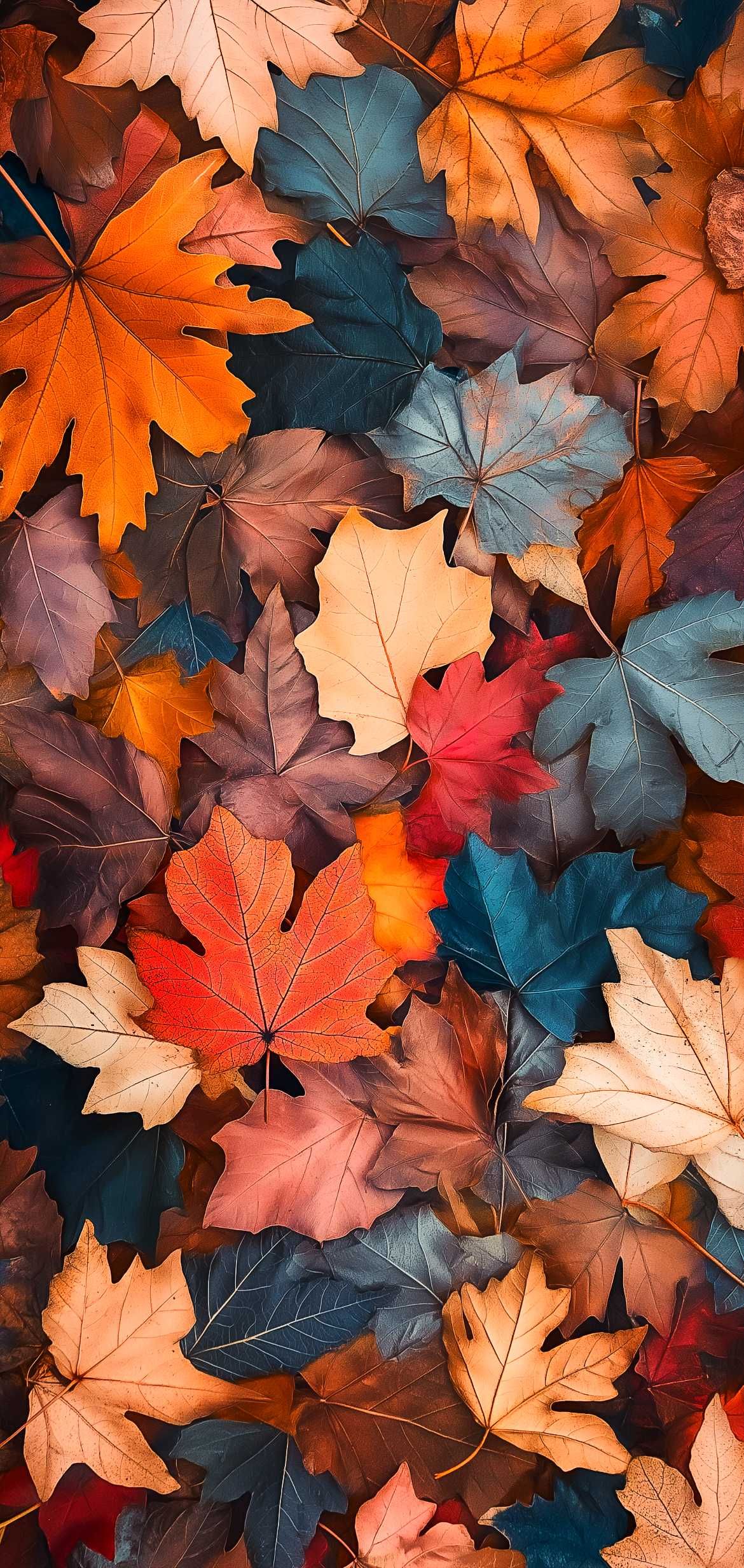 fall wallpaper iphone aesthetic 0028