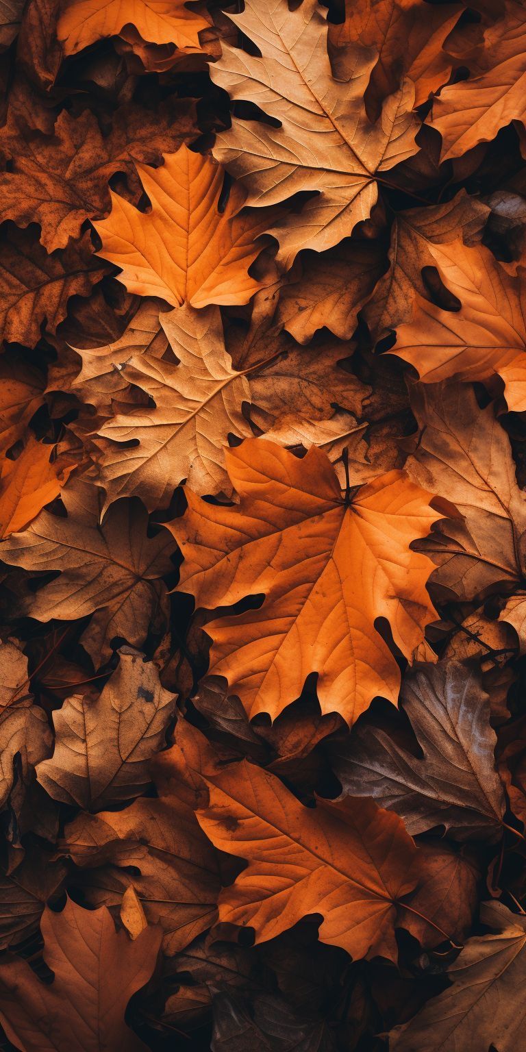 fall wallpaper iphone aesthetic 0030