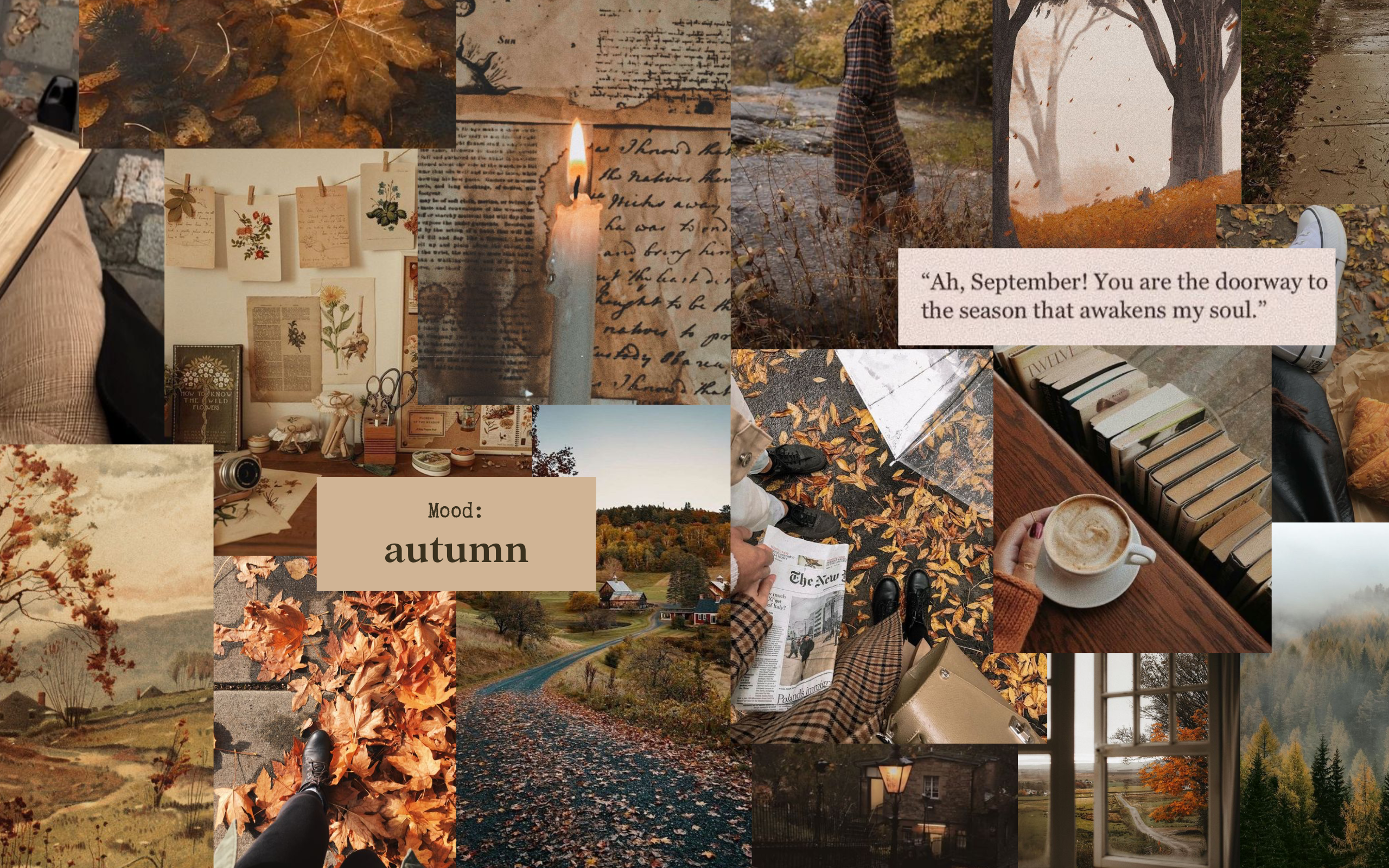 fall wallpaper iphone aesthetic 0050