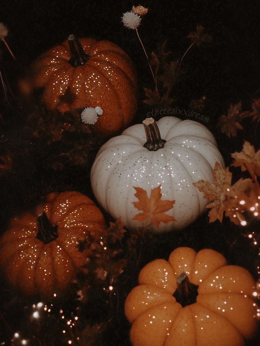 fall wallpaper iphone aesthetic 0062