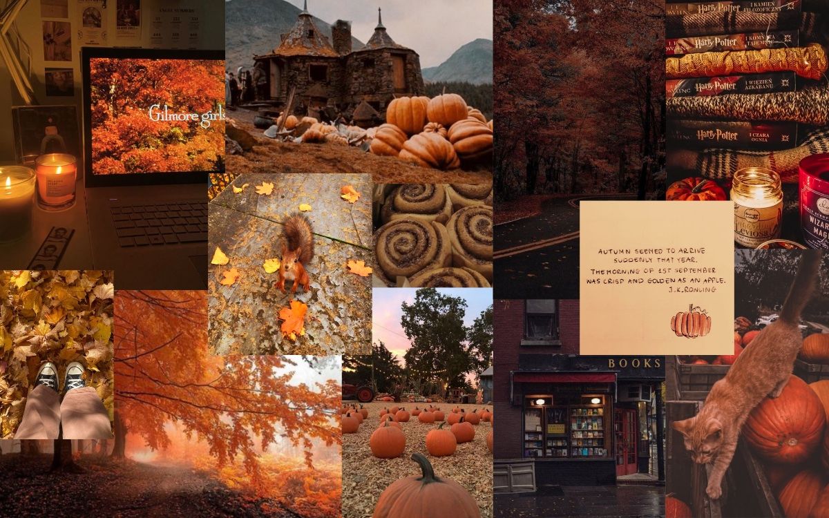 fall wallpaper iphone aesthetic 0089