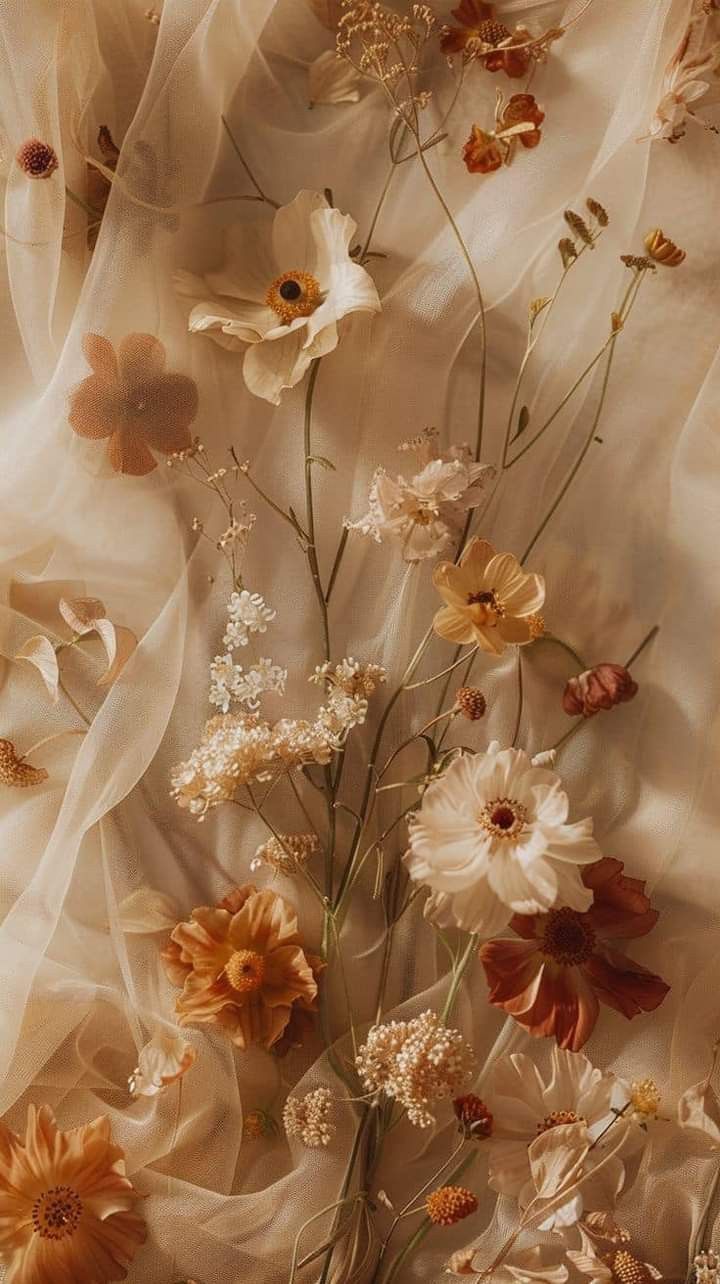 fall wallpaper iphone aesthetic 0094