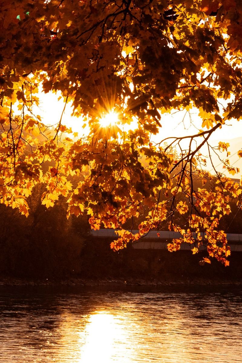 fall wallpaper iphone aesthetic 0098