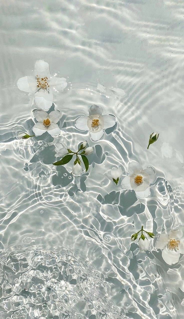 floral aesthetic wallpaper themes