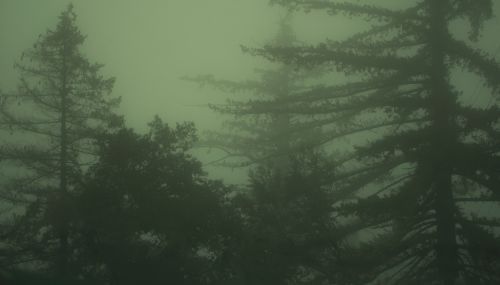 grunge aesthetic wallpapers 0090