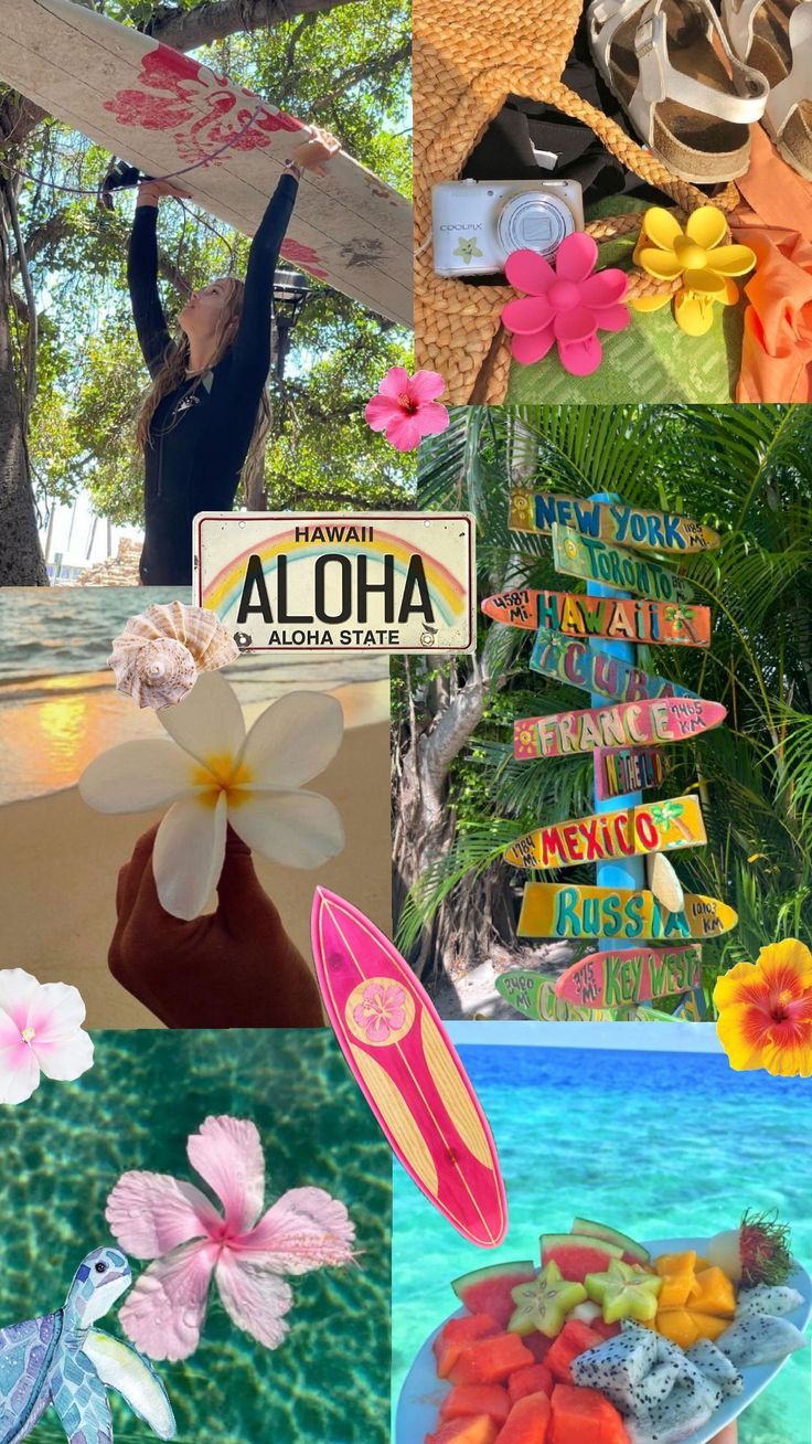 hibiscus flower coconut girl aesthetic wallpaper 0050