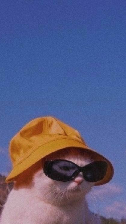 indie aesthetic wallpaper 0048