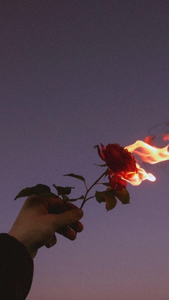 iphone aesthetic valentines day wallpaper 0036