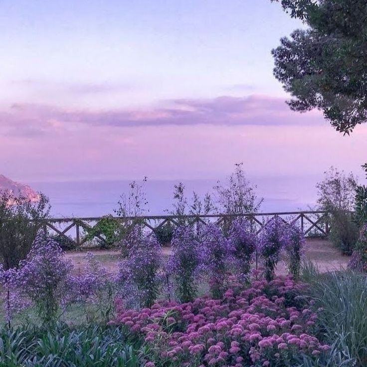 lavender aesthetic wallpaper 0045