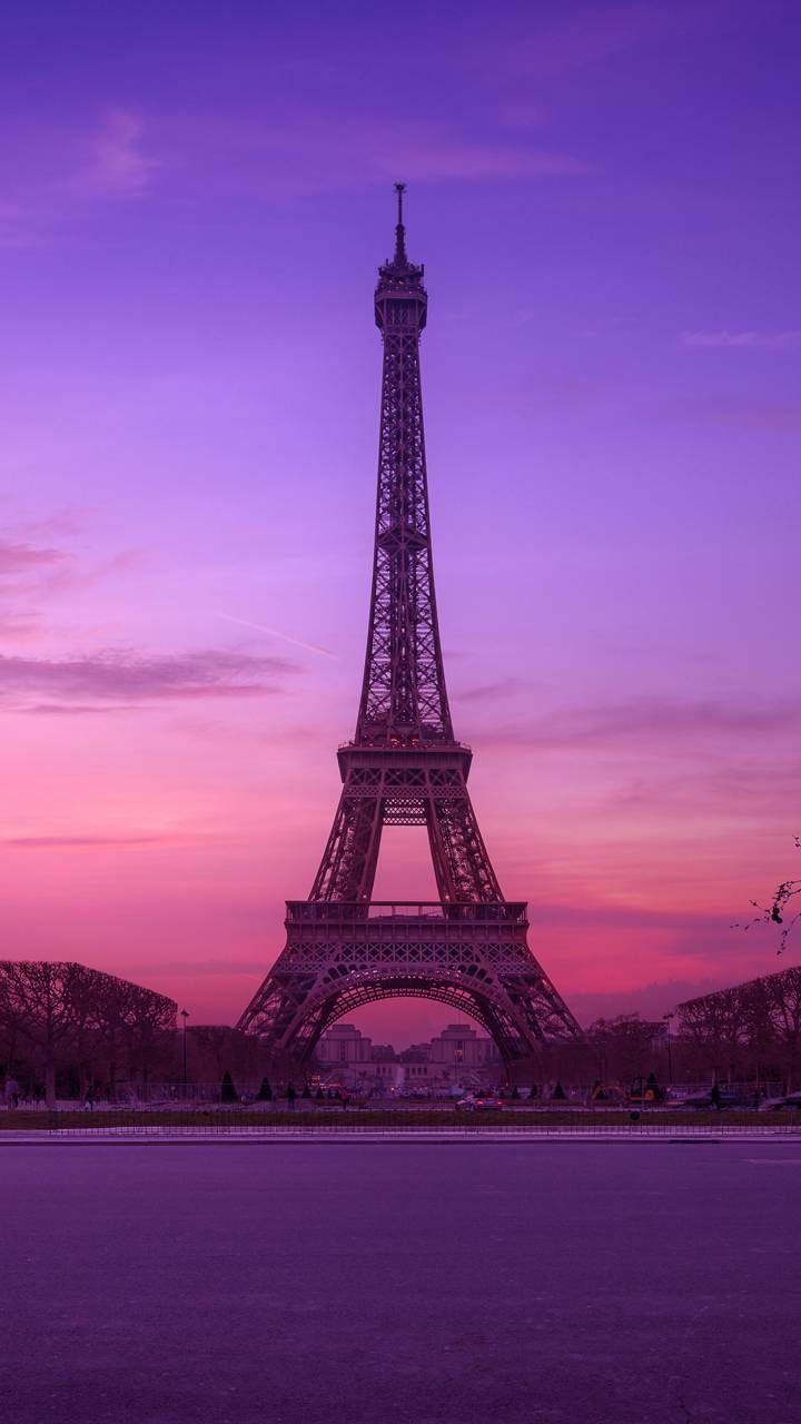 lavender pastel purple aesthetic background 0024