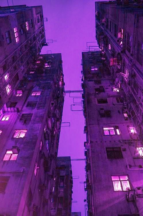lavender pastel purple aesthetic background 0054