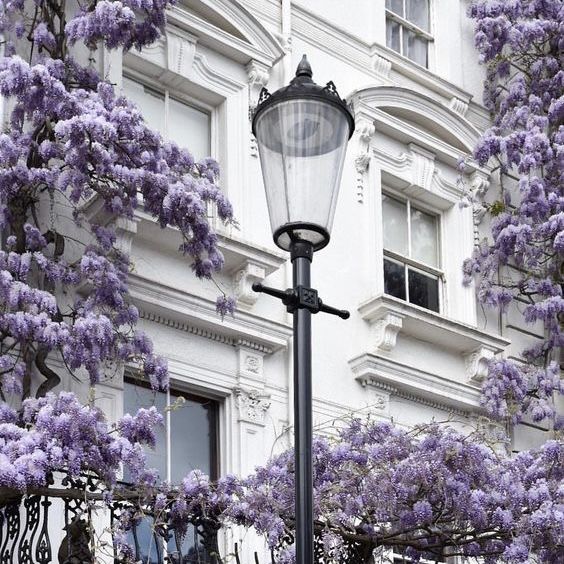 lavender pastel purple aesthetic background 0059
