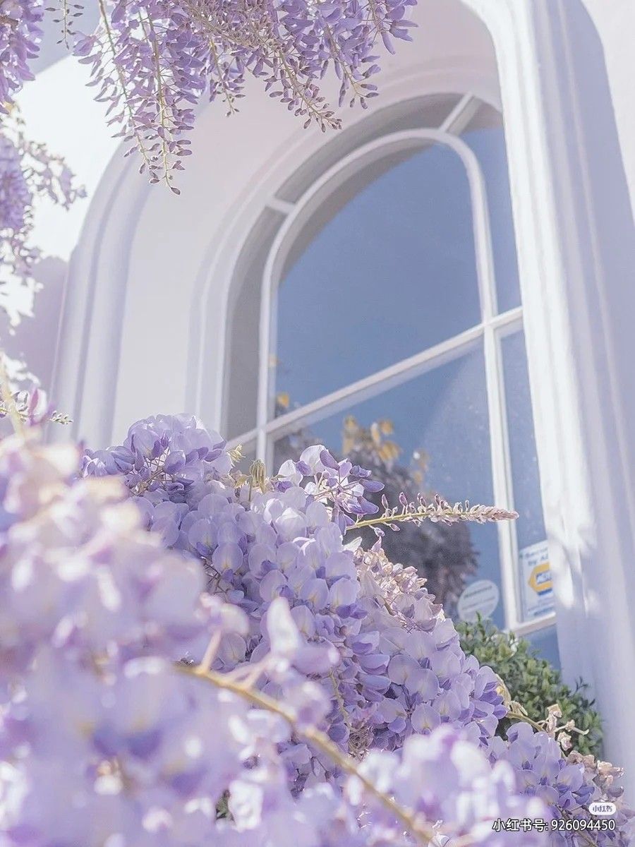 lavender pastel purple aesthetic background 0061