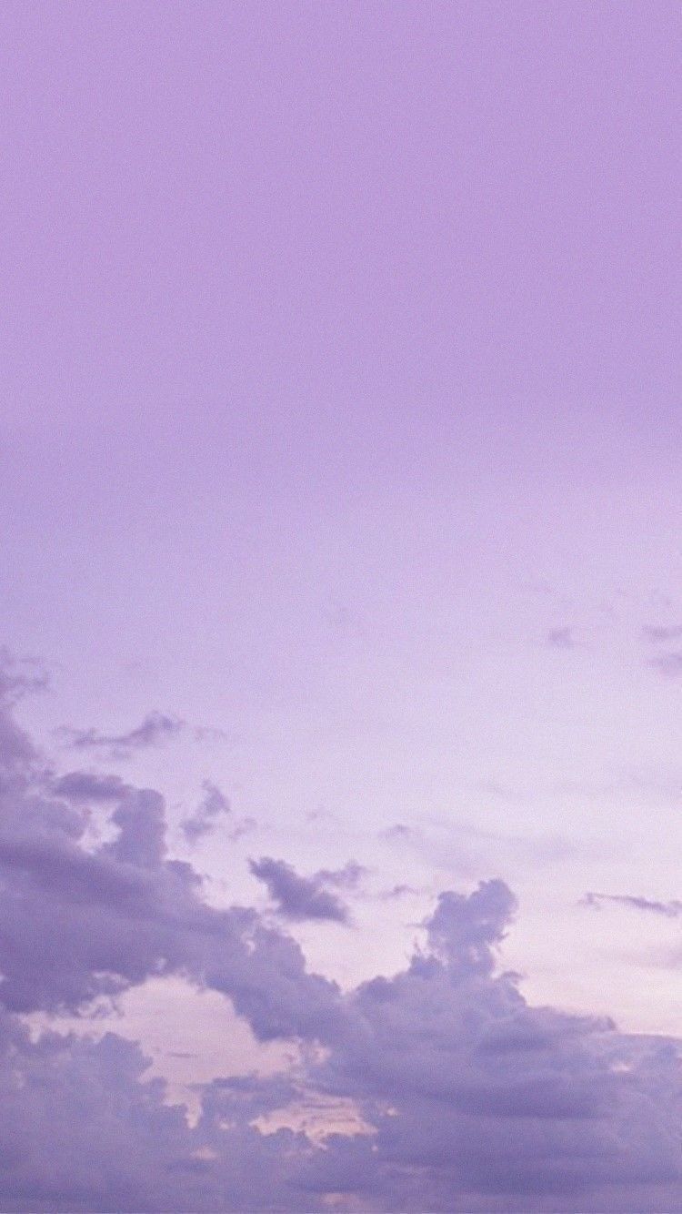 lavender pastel purple aesthetic background 0064