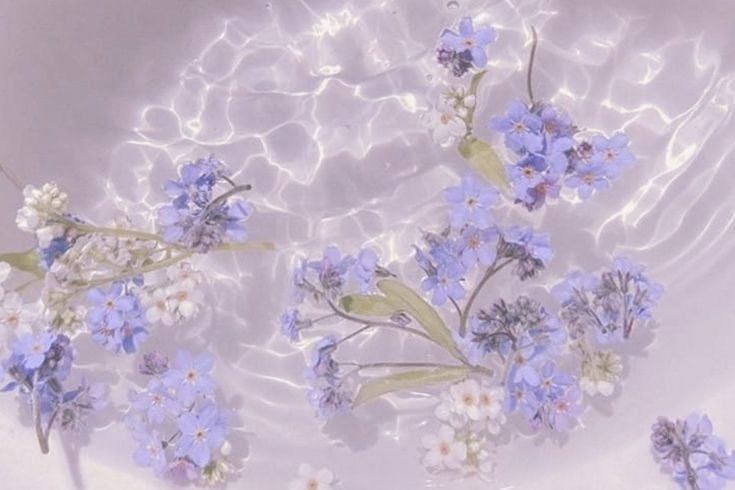 lavender pastel purple aesthetic background 0068