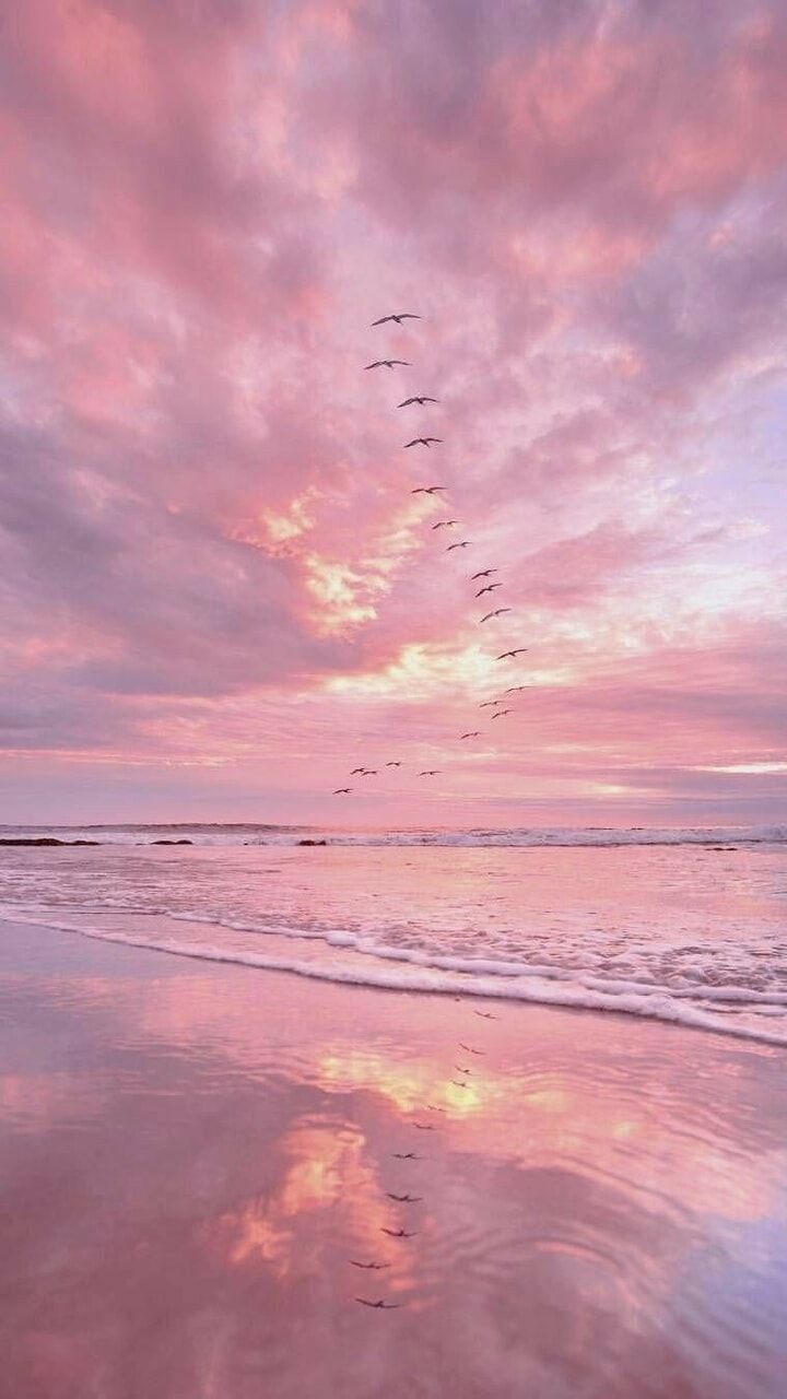 light aesthetic pink 0094