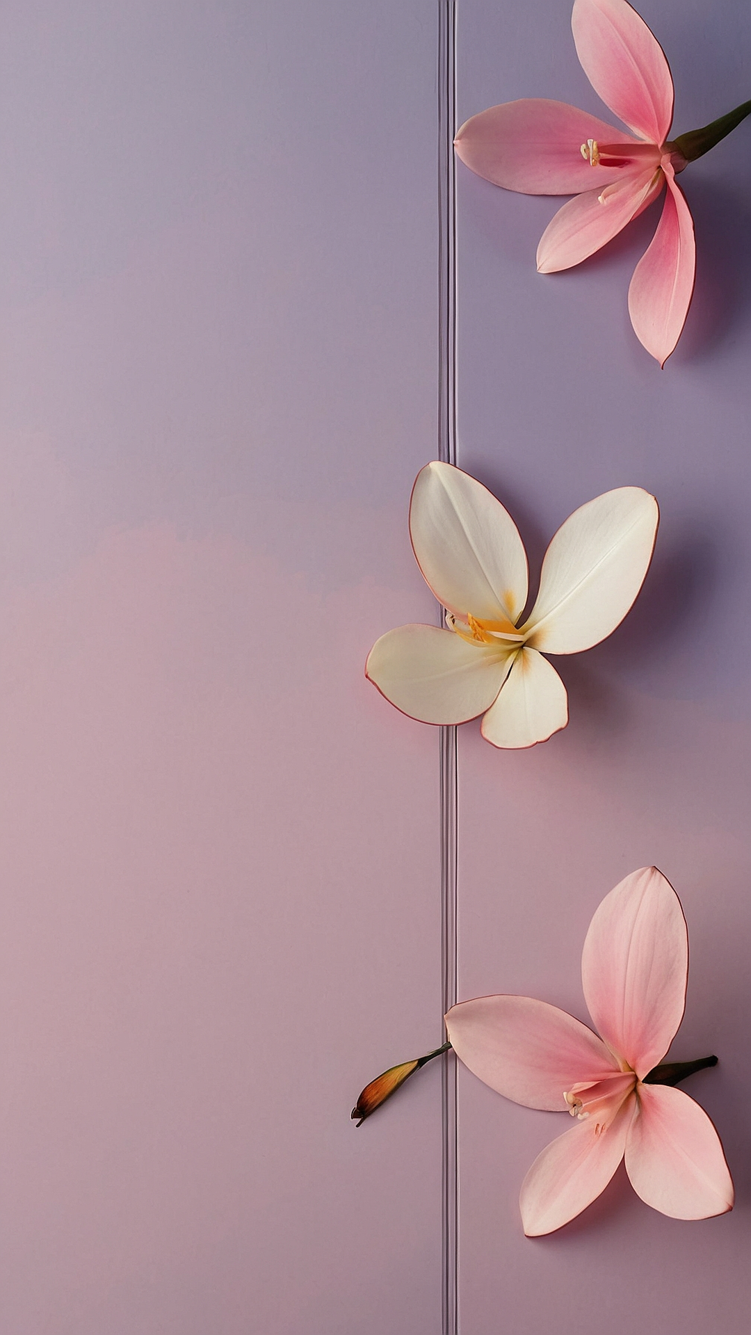 light pink floral aesthetic backgrounds