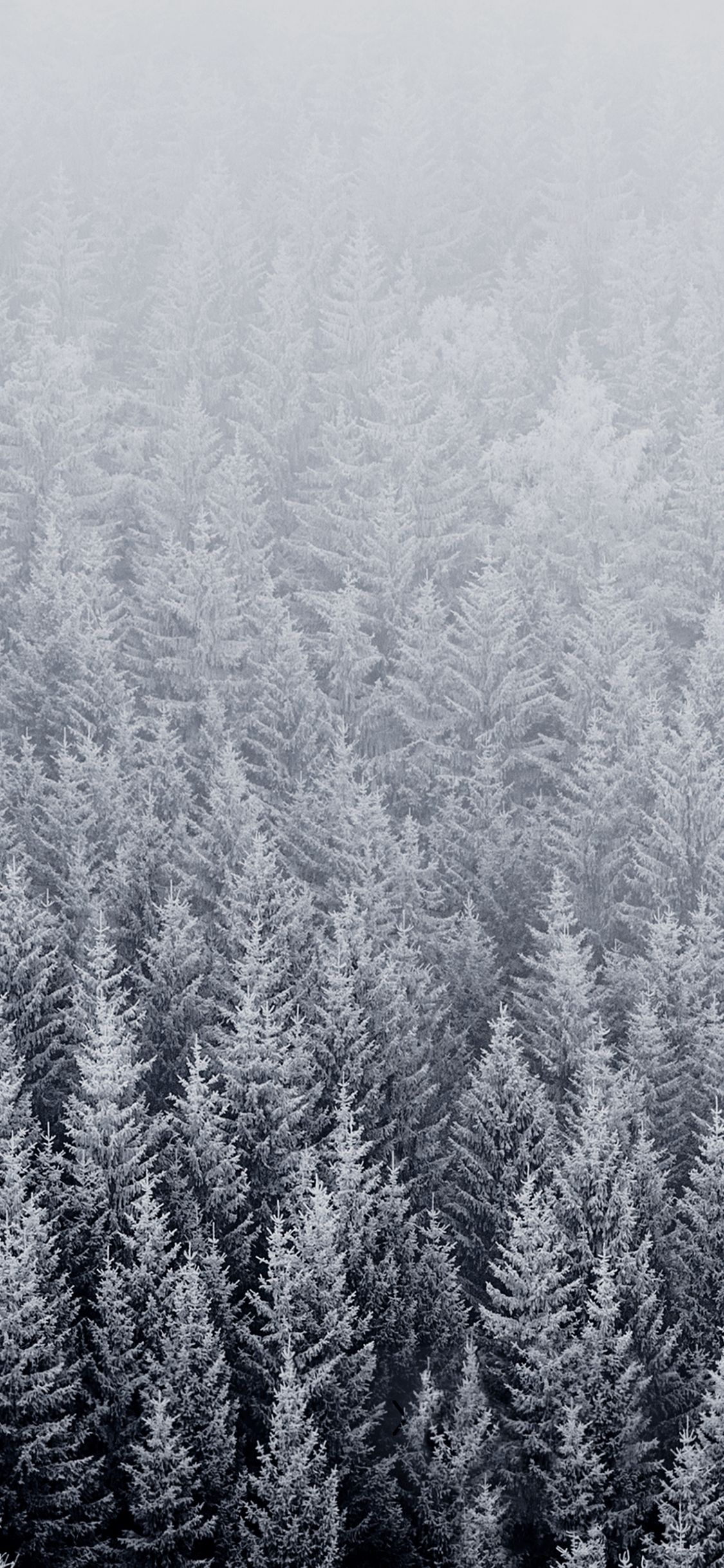 cozy winter aesthetic wallpaper 0058