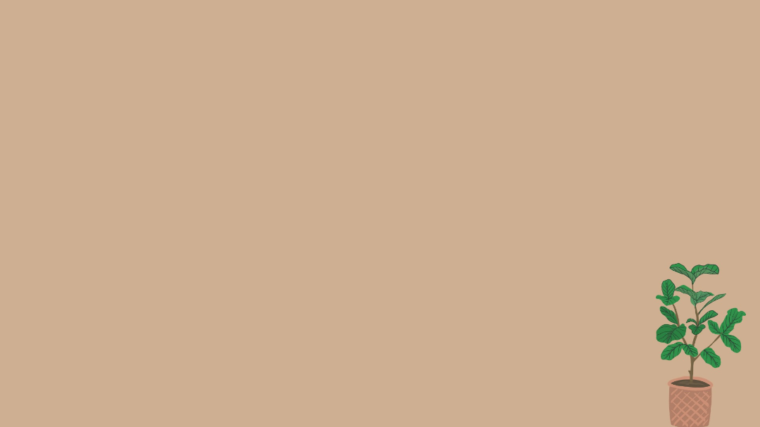 minimalist aesthetic flower wallpaper 0099