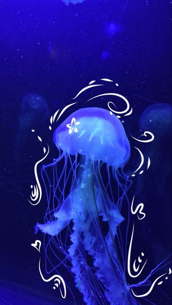 ocean wallpaper aesthetic 0038