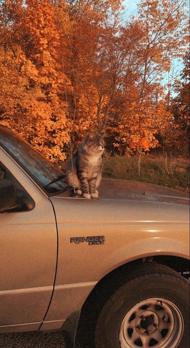 october aesthetic wallpaper 0081