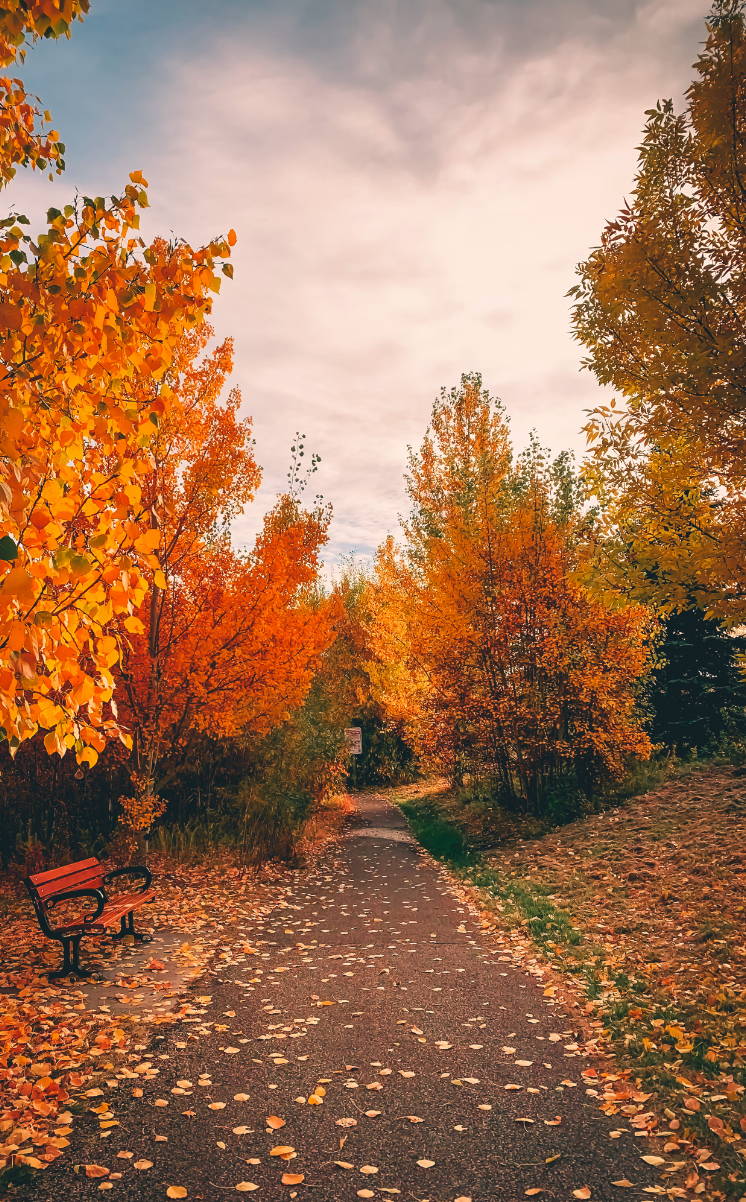 october aesthetic wallpaper 0096