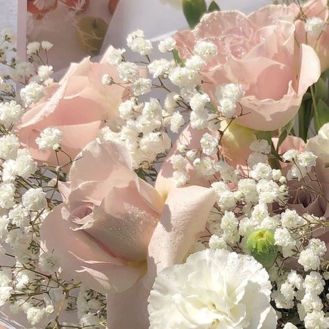 pastel light aesthetic pink