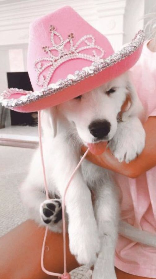 playful preppy pink cowgirl aesthetic wallpaper backgrounds