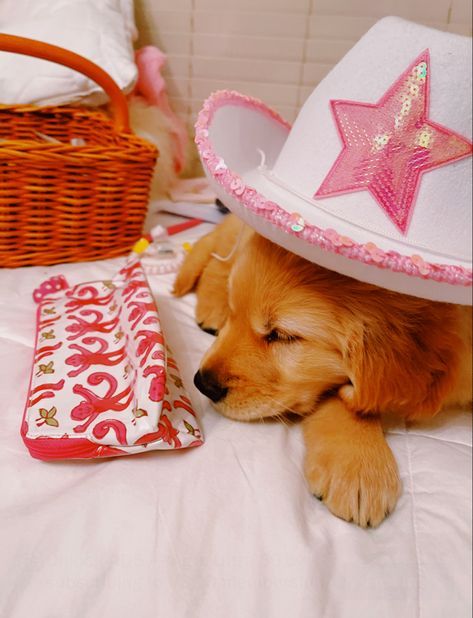 preppy pink cowgirl aesthetic wallpaper 0052