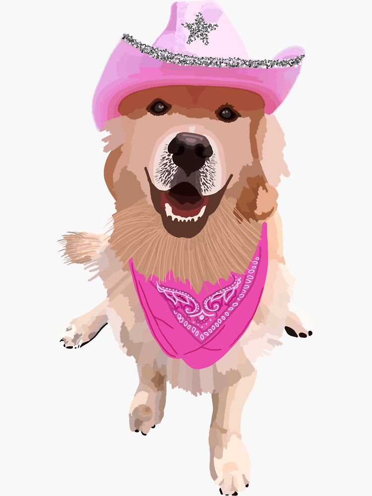 preppy pink cowgirl aesthetic wallpaper 0067
