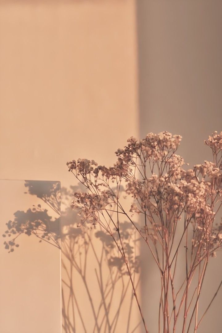 cute aesthetic wallpapers