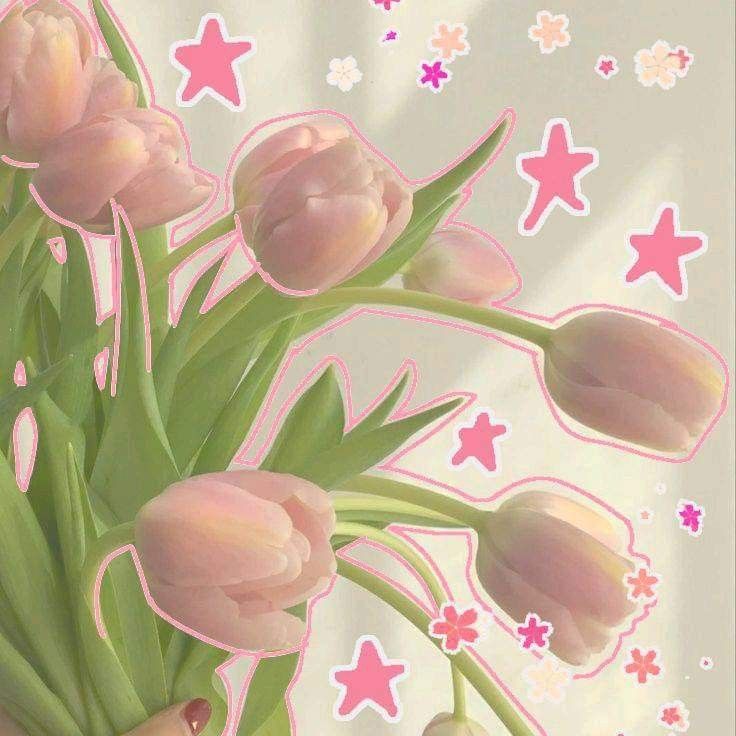 soft girl aesthetic wallpapers 0051
